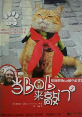 流浪猫鲍勃真实事件改编超感人,流浪猫鲍勃故事梗概