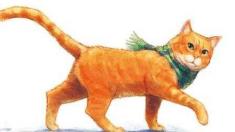 流浪猫鲍勃真实事件改编超感人,流浪猫鲍勃故事梗概