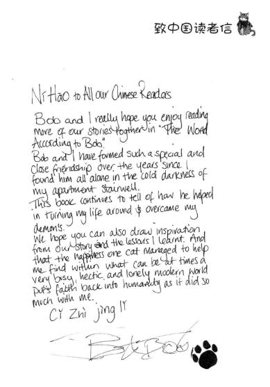 流浪猫鲍勃真实事件改编超感人,流浪猫鲍勃故事梗概