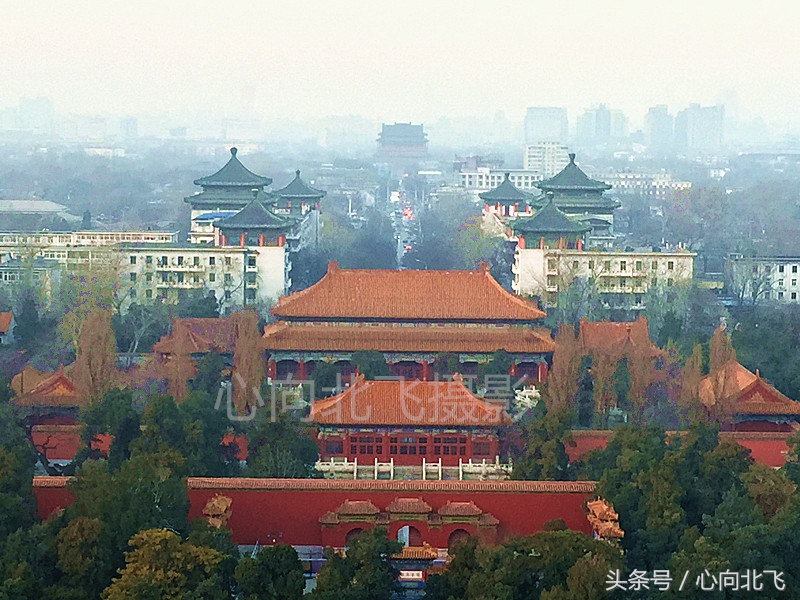 北京故宫和台北故宫的区别,北京故宫和沈阳故宫特色区别