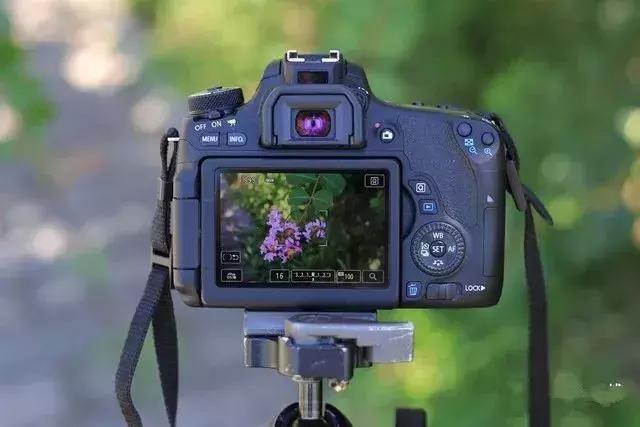单反相机和微单相机哪个拍照好,摄影初学者选单反相机