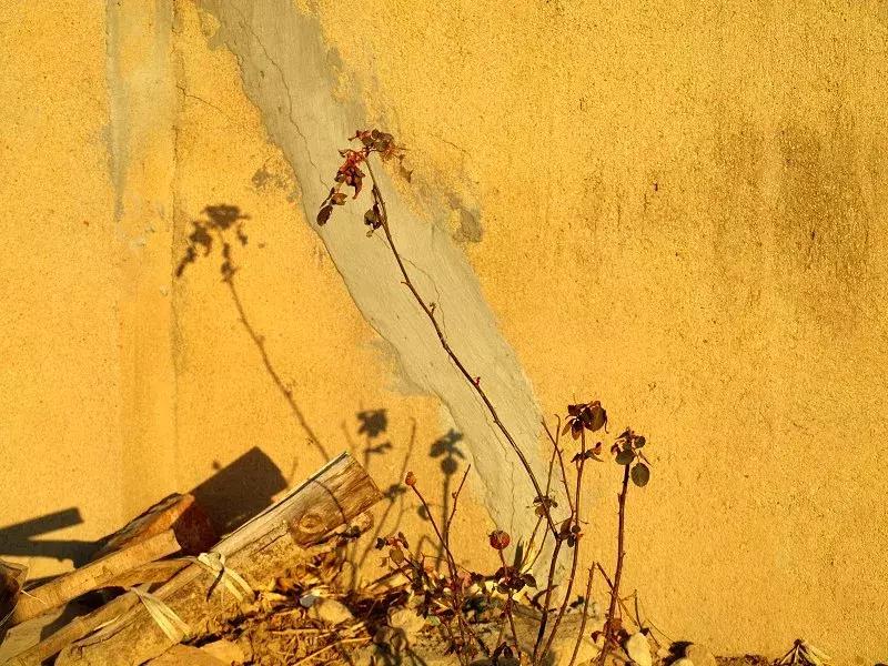 丧了过去的一整年，2018你为什么还要选择留在九江？