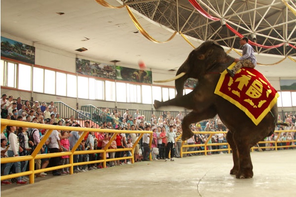 想一天游完祖国的大好河山,想一天就能游览全世界吗