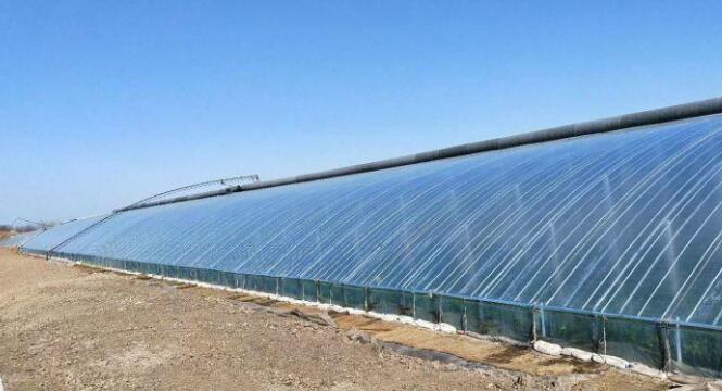 寿光！新闻早班车（3月20日）