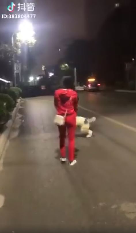 巨大狗狗求抱抱主人压力山大,小狗撒娇卖萌求主人抱抱