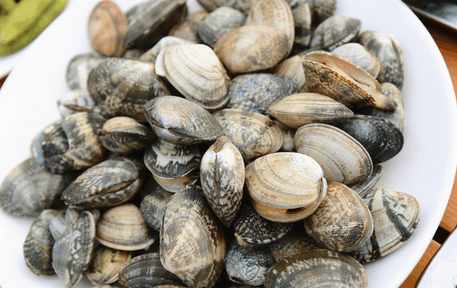 去壳花蛤肉怎么清洗最干净,专业洗花蛤揭秘花蛤洗净技巧