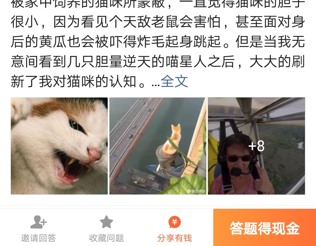 新用户如何开通红包,怎样开通红包功能