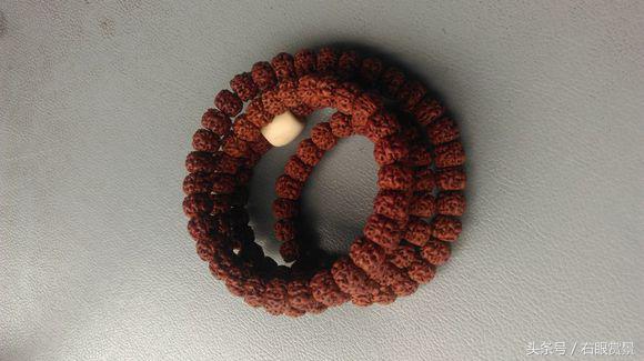 自己在家怎么挑选小金刚,小金刚选籽教程