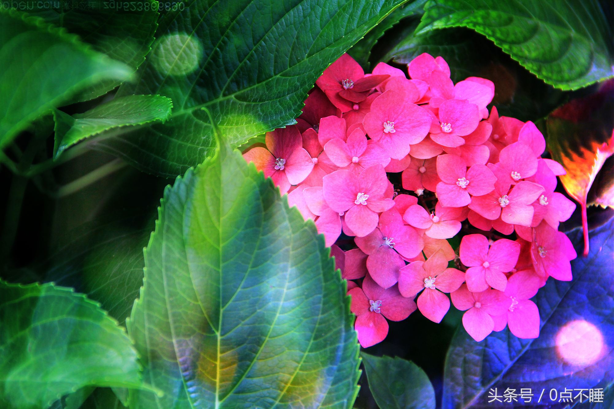 曾经参加过高考的你有什么感悟,熬过高考的感受