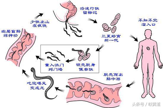 宝宝夜间哭闹不止还伴有肛门瘙痒,或是1种寄生虫在作怪