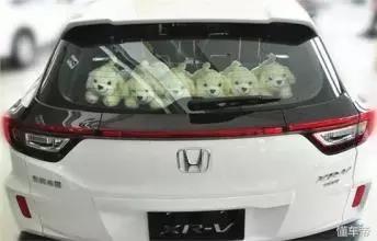 车主必看!车顶贴了这种东西,出了事你要负全责!