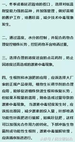 樱桃西红柿激素中毒这阶段发生较多，这几个方面仔细点
