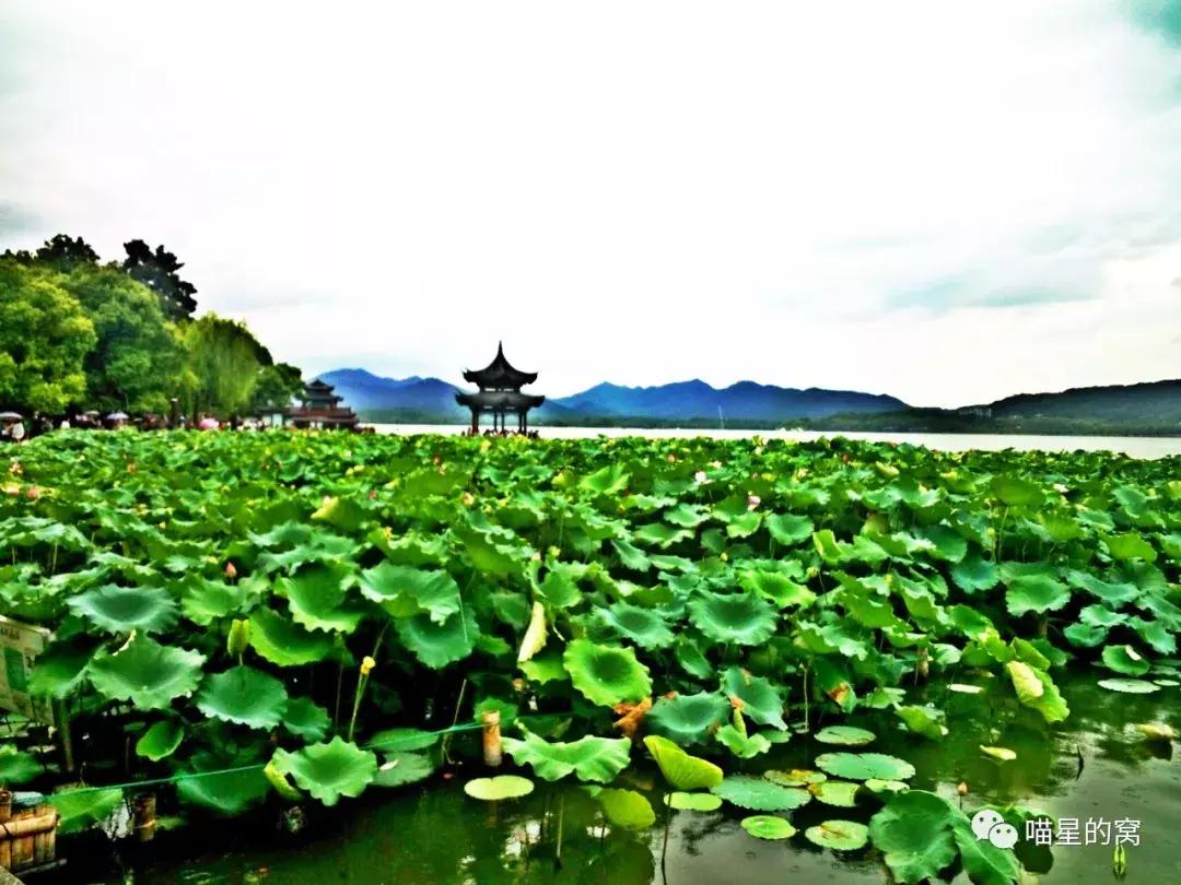 世界那么大，我想去看看——华东五市