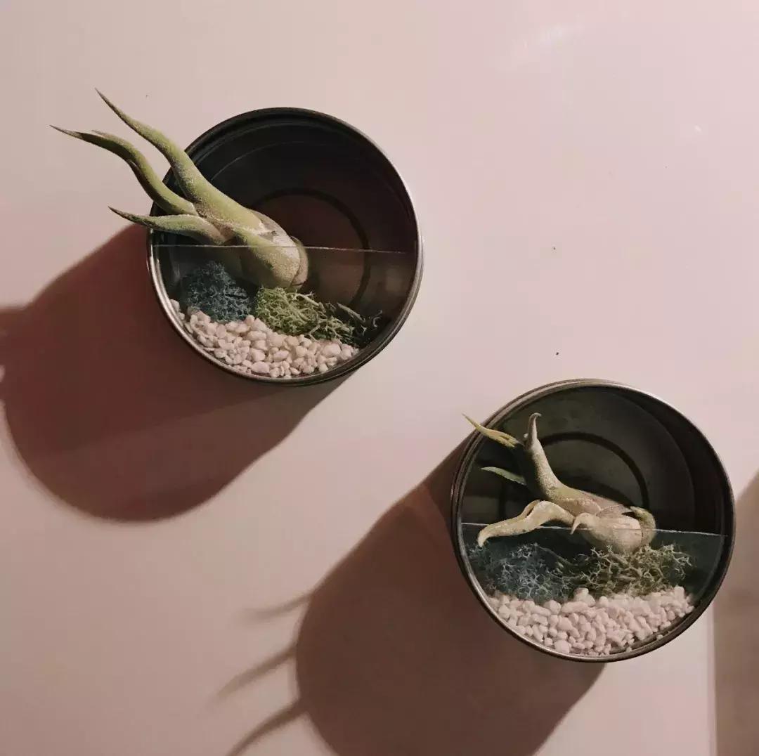 当囤货癖遇到末世,当收纳遇到断舍离