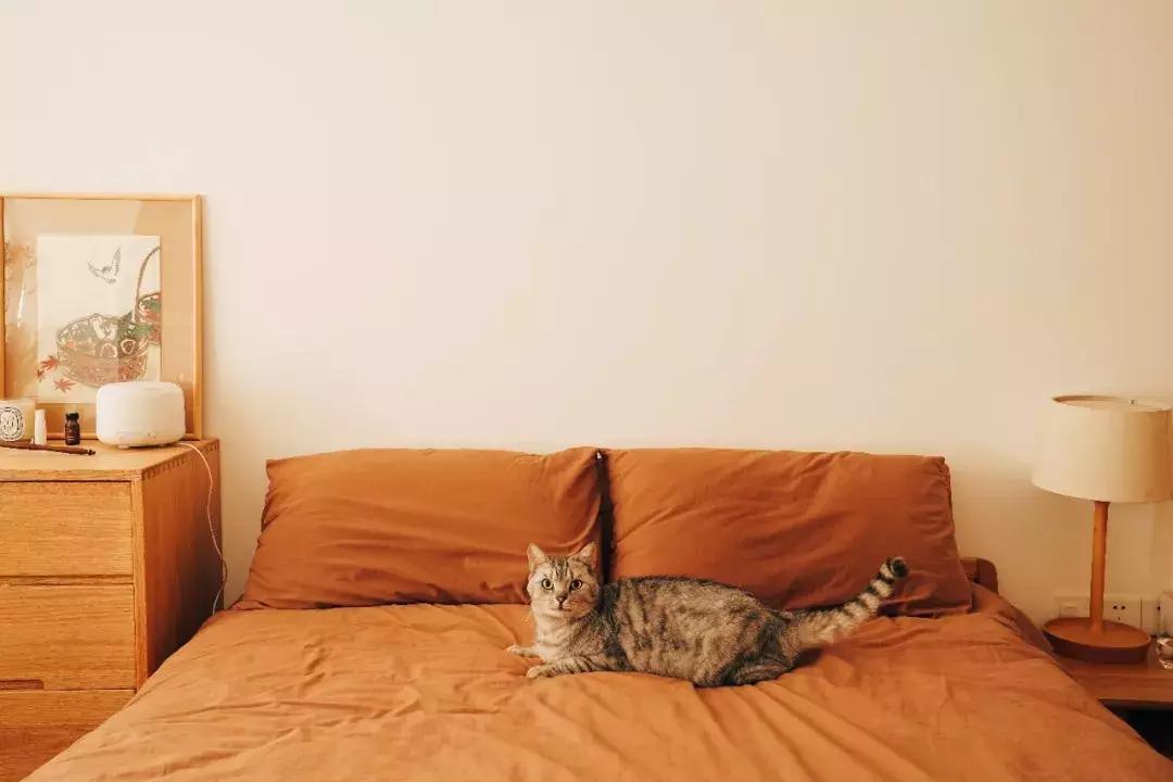 当囤货癖遇到末世,当收纳遇到断舍离