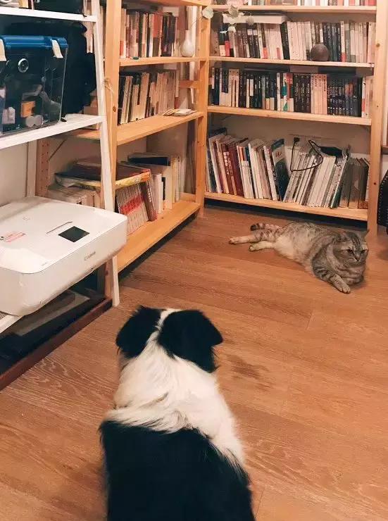 当囤货癖遇到末世,当收纳遇到断舍离