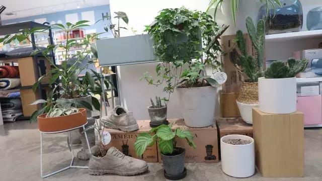 成都网红家居馆,成都轻奢网红家居