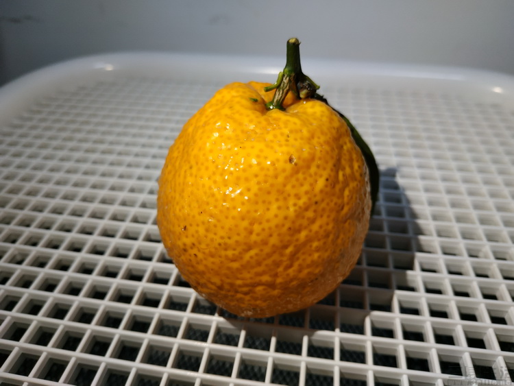 红米note5发布会趣评测,现在为啥还没有红米note5的评测