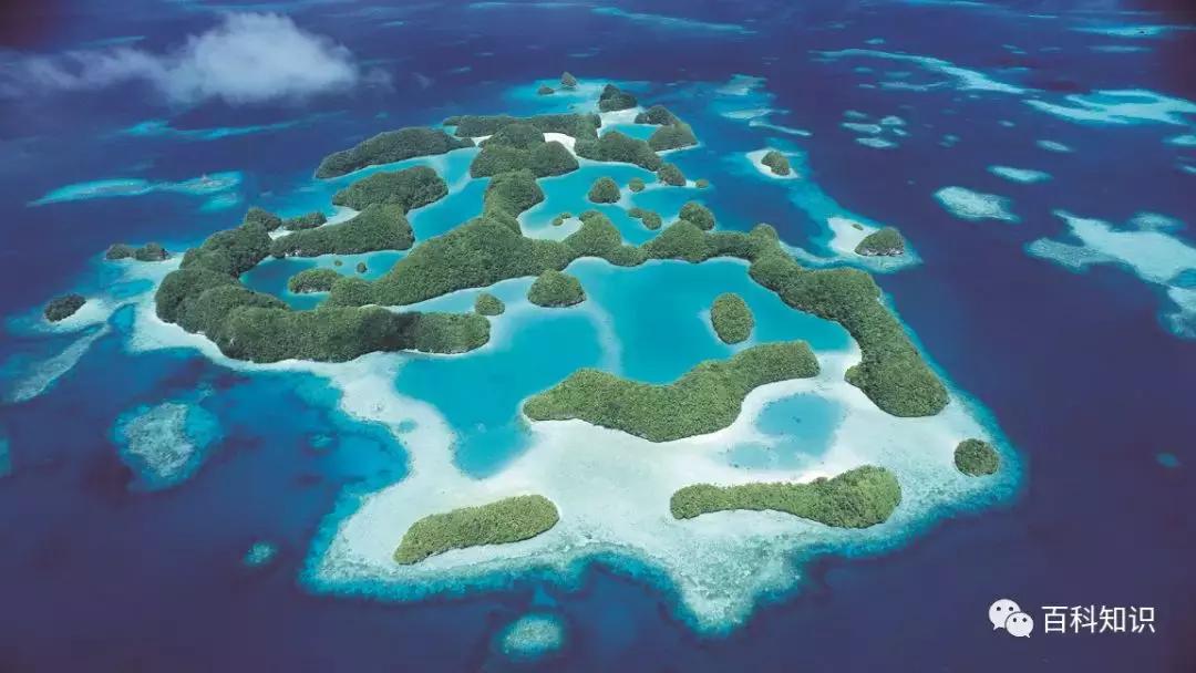 地球小卫士保护环境从我做起,地球环保小卫士