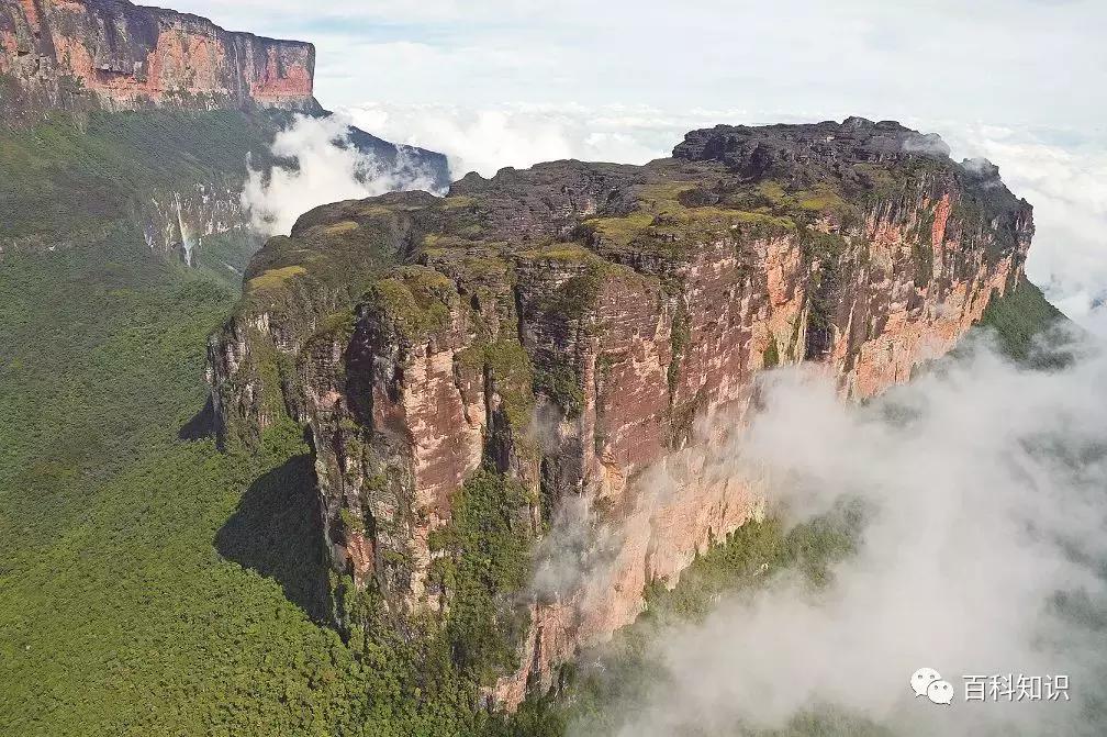 地球小卫士保护环境从我做起,地球环保小卫士