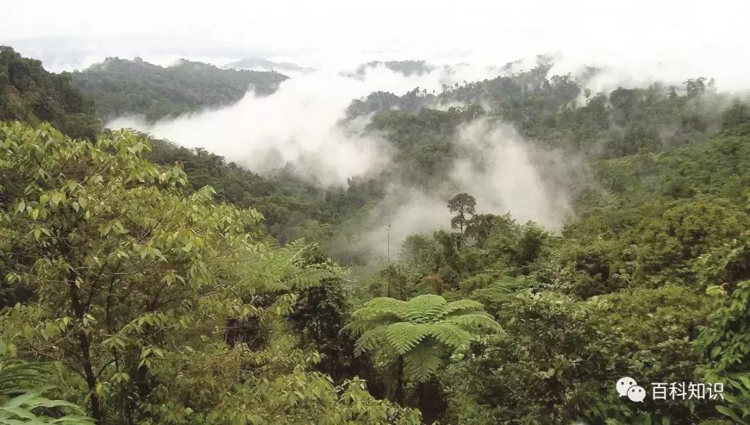 地球小卫士保护环境从我做起,地球环保小卫士