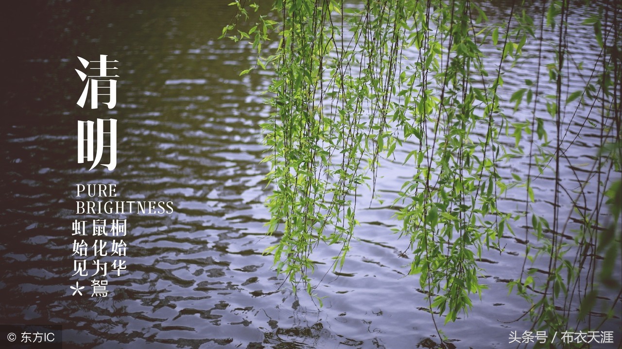 关于清明节的古诗词朗诵加舞蹈,清明节古诗词大全50首
