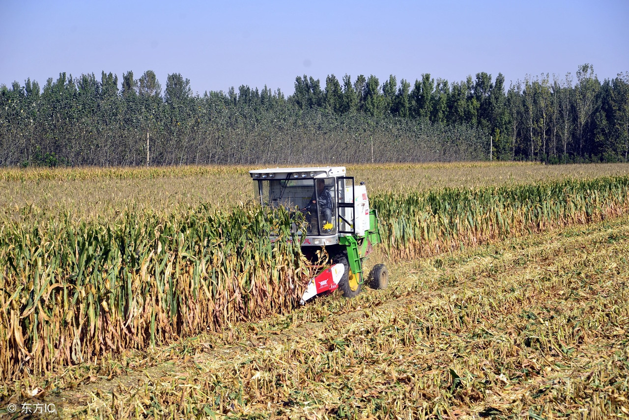 农业补贴哪些项目最容易拿到,2020年成都市扶持农业补贴发了么