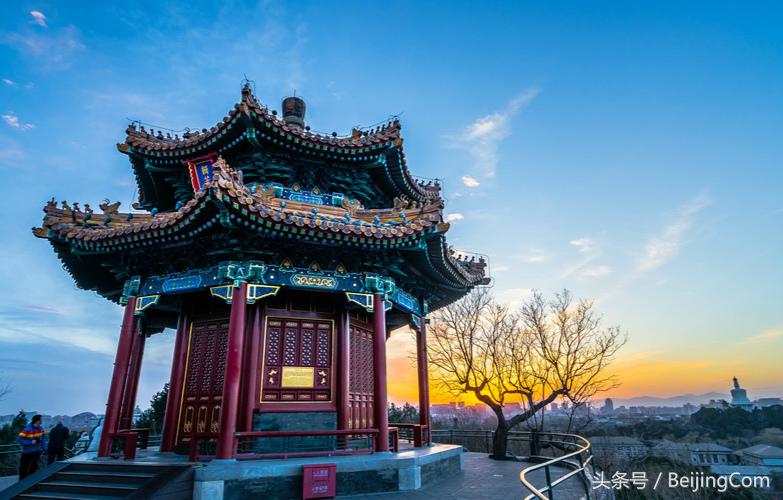 北京景山公园老槐树,景山公园崇祯槐树为啥被砍了