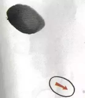 写意小鸡画法教学视频,徐湛小鸡写意画法