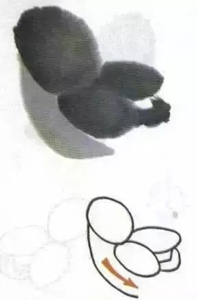 写意小鸡画法教学视频,徐湛小鸡写意画法