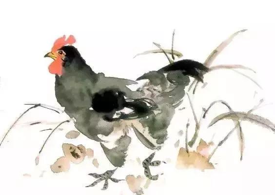 写意小鸡画法教学视频,徐湛小鸡写意画法