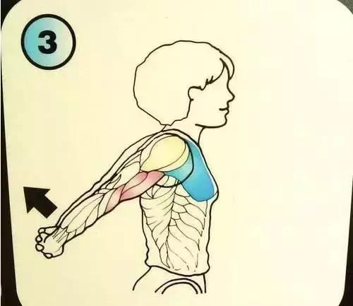 十个正确拉筋的方法,每日拉筋十个方法