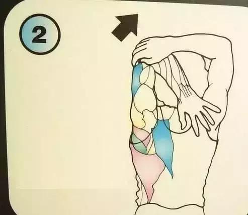 十个正确拉筋的方法,每日拉筋十个方法