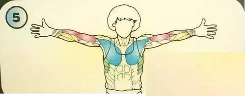 十个正确拉筋的方法,每日拉筋十个方法