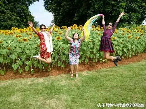 阿姨们照相带7条丝巾上热搜，网友大军忍不住晒出自家妈妈