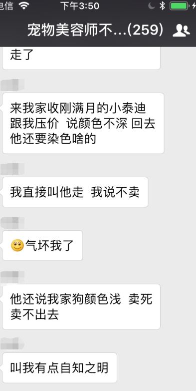 狗贩子用高锰酸钾和廉价染发剂给小奶狗染色，只为卖出高价。