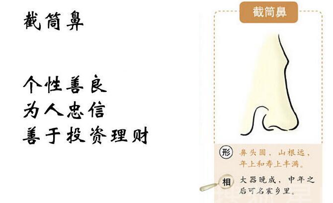 面相中鼻子大的面相解读,富贵鼻子的吉利面相解析大全