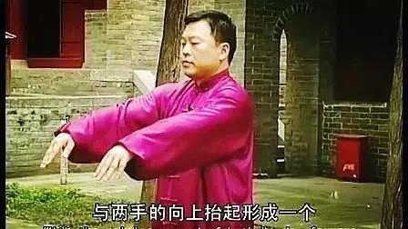 太极起势详解,简单易学的太极起势