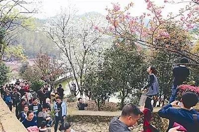 他来自闽北小城，误入服装行业，却打造了中国版Zara,年营收近百亿！