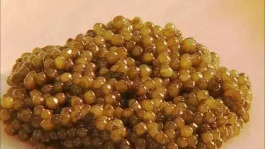 爆浆鱼子酱颗粒,大颗粒鱼籽合集