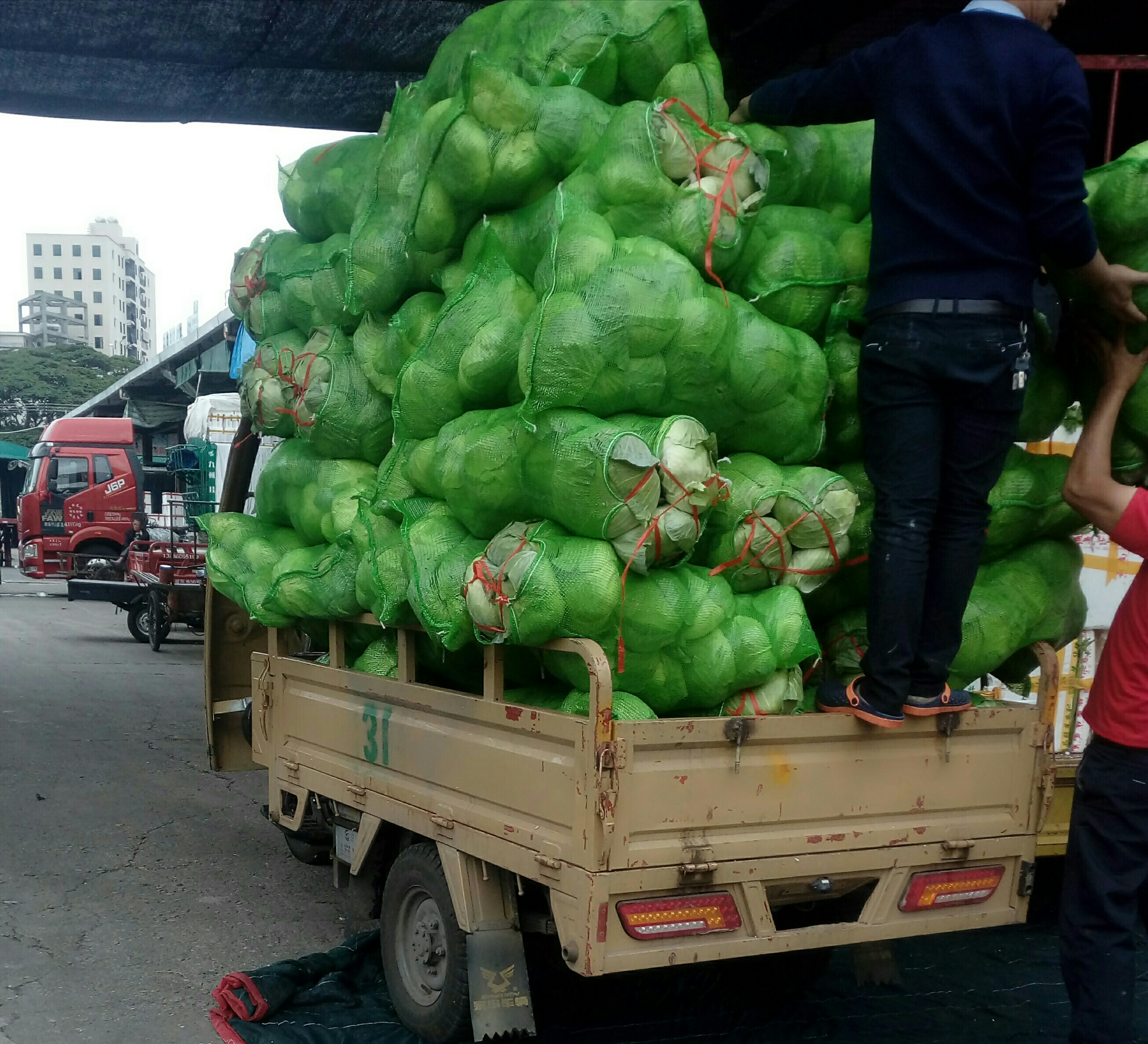 蔬菜批发市场卸货工资,蔬菜批发市场搬运工干什么