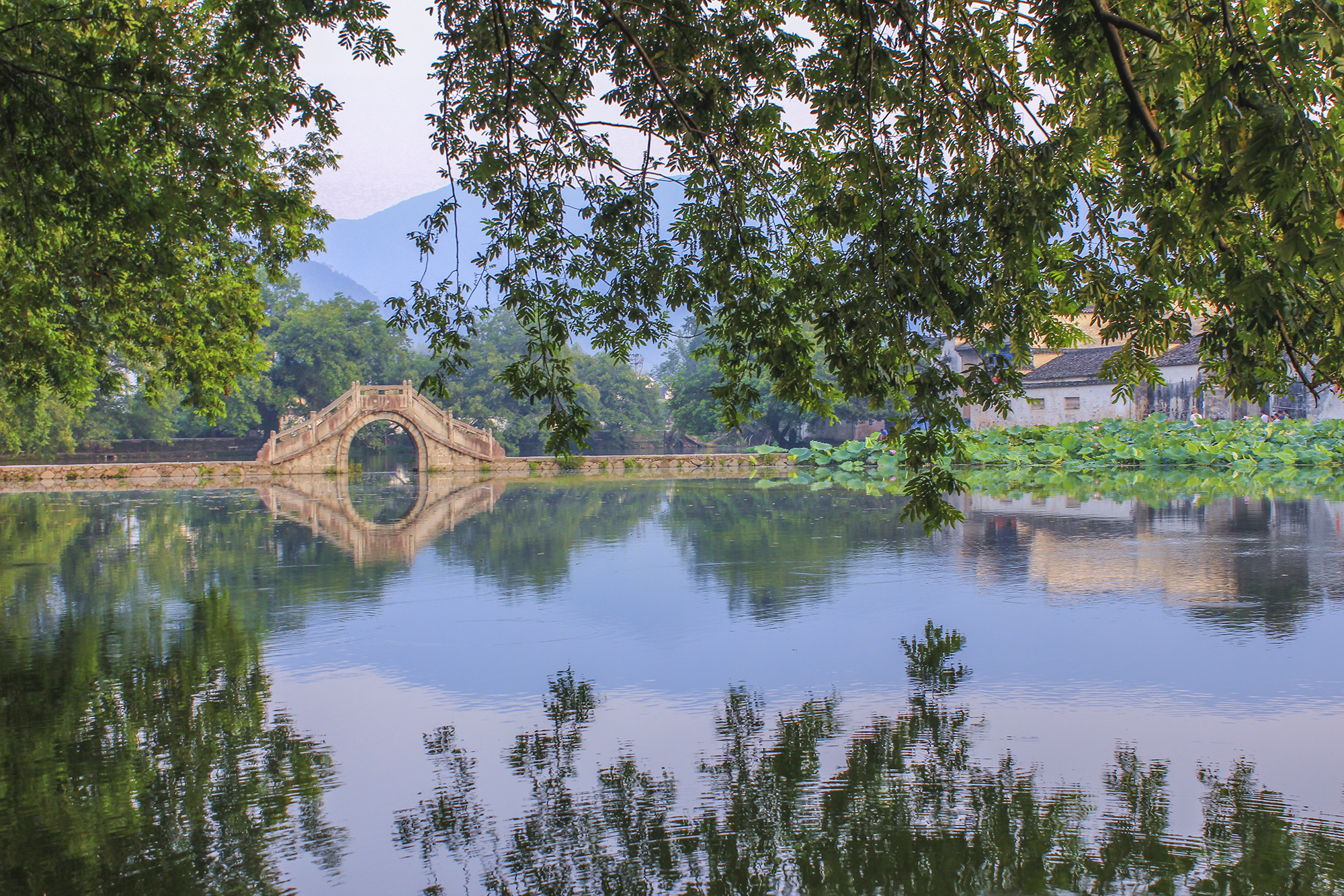 安徽省黄山市黟县宏村阿菊艺术团,宏村阿菊表演地点离宏村景区多远