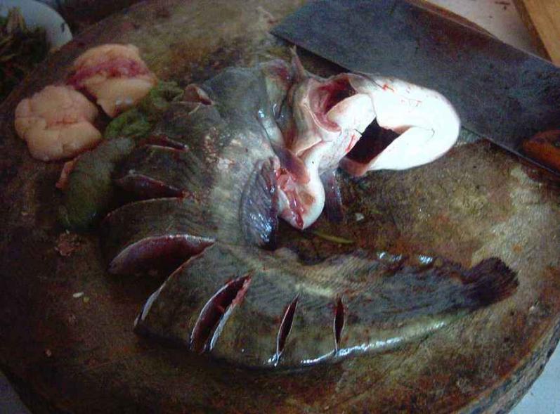 正宗贵州酸汤鱼的做法和配料,正宗贵州酸汤鱼配方