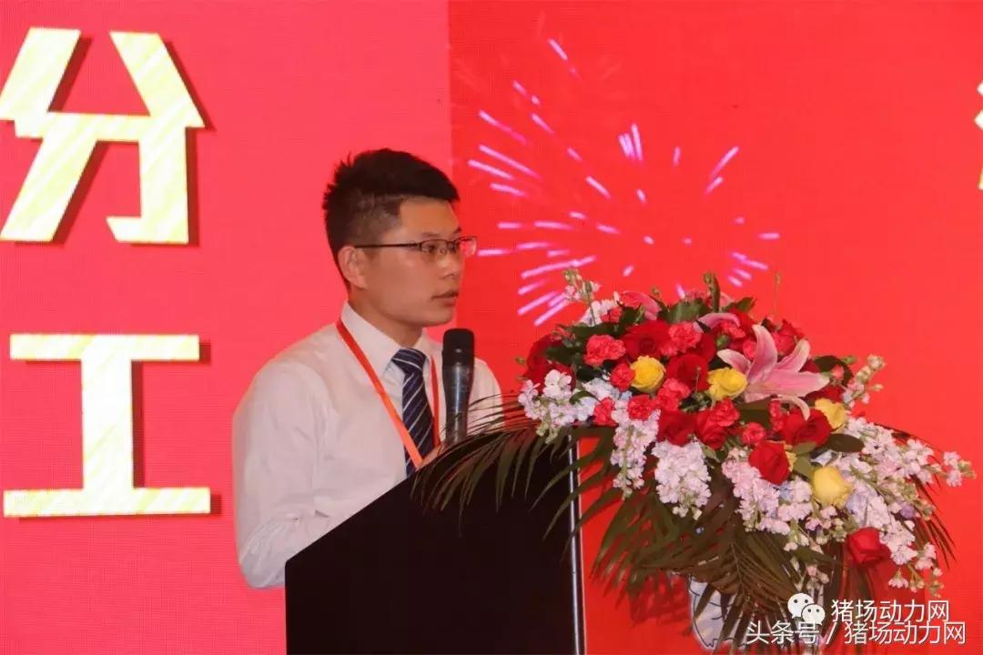 双胞胎饲料2015销量,双胞胎饲料2017年销售多少