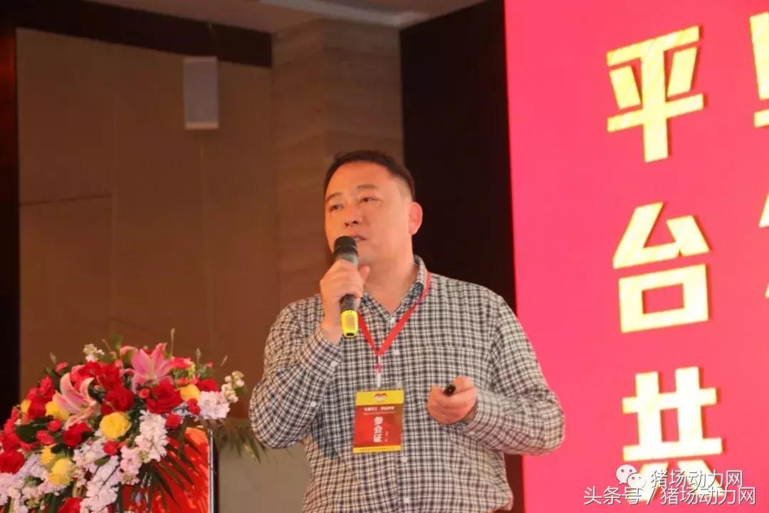 双胞胎饲料2015销量,双胞胎饲料2017年销售多少