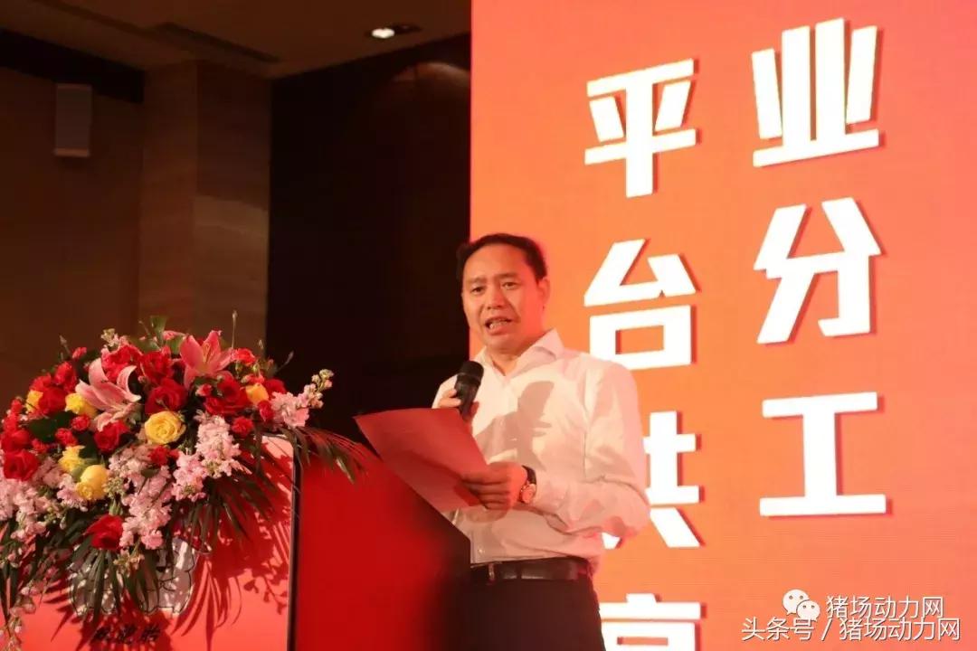 双胞胎饲料2015销量,双胞胎饲料2017年销售多少