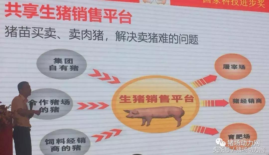 双胞胎饲料2015销量,双胞胎饲料2017年销售多少