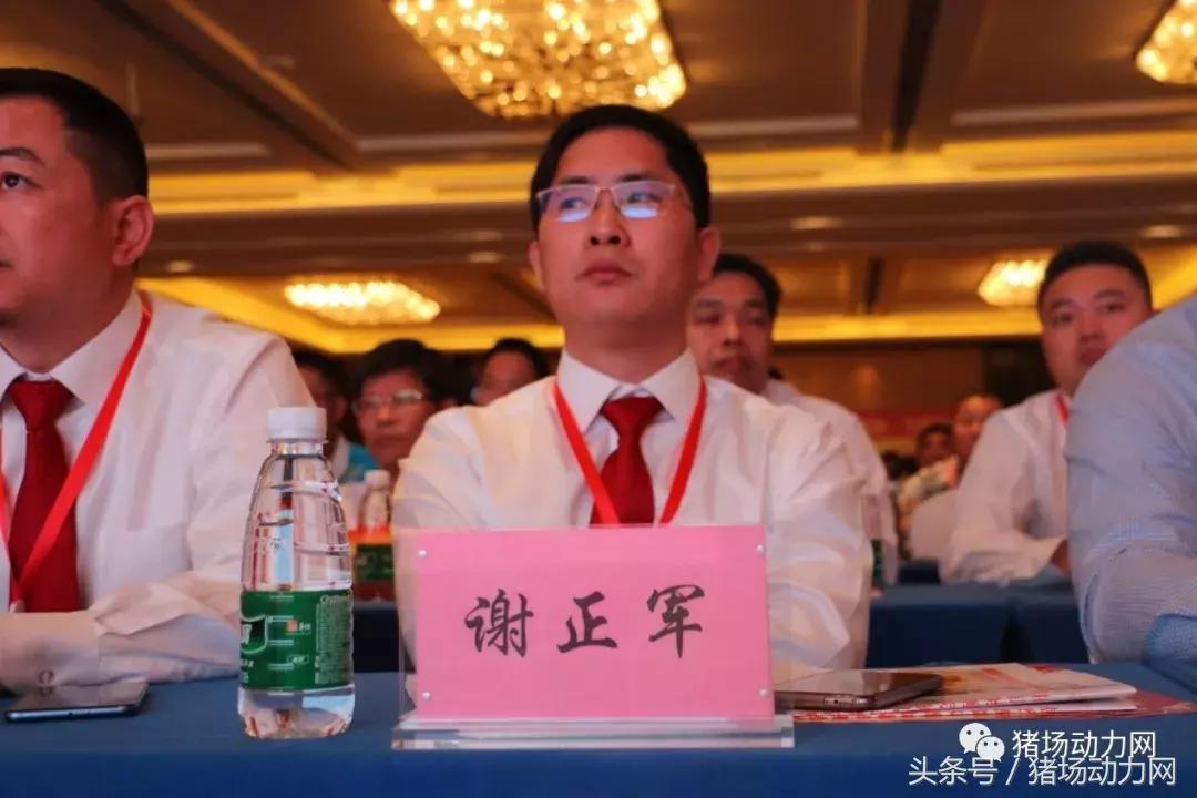 双胞胎饲料2015销量,双胞胎饲料2017年销售多少