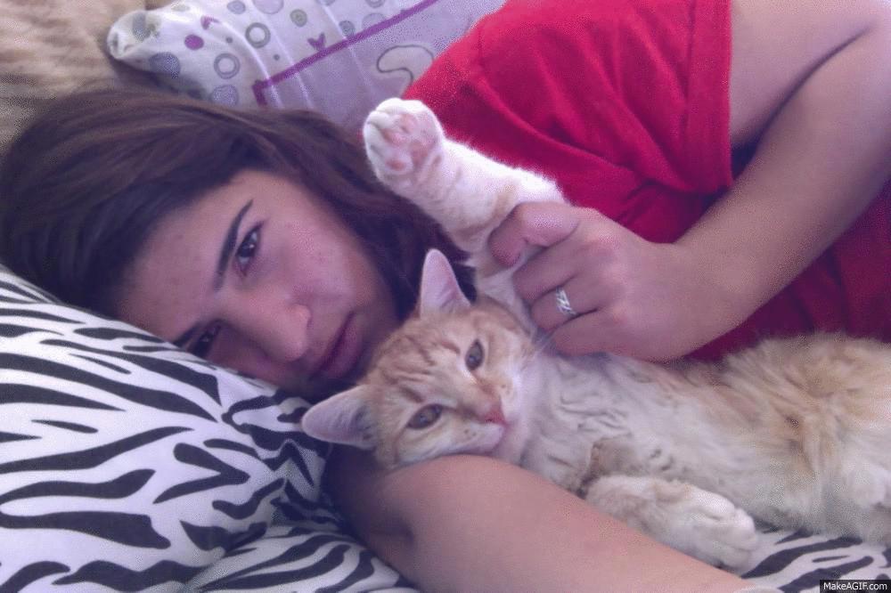 猫害怕铲屎官怎么办,为啥每次铲屎猫咪会害怕