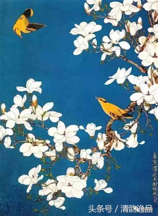 十大写意花鸟画名家,八大花鸟画高清大图